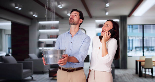 Best Flooded house restoration  in Ottawa, KS