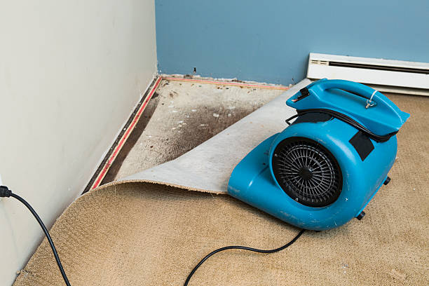 Best Flood damage cleanup  in Ottawa, KS